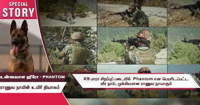 உண்மையான ஹீரோ   phantom  ராணுவ செல்லப்பிராணியின் உயிர் தியாகம்   சிறப்பு கட்டுரை 