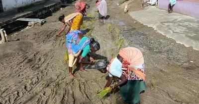 திருக்கோவிலூர் அருகே சேதமடைந்த சாலையை சீரமைக்க வலியுறுத்தல்   நாற்று நடும் போராட்டத்தில் ஈடுபட்ட கிராம மக்கள் 