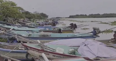 நாகை மீனவர்கள் 12 பேர் கைது    இலங்கை கடற்படை அட்டூழியம் 