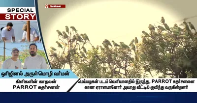 ஒரிஜினல் அருள்மொழி வர்மன்   கிளிகளின் காதலன் parrot சுதர்சன்   சிறப்பு தொகுப்பு 