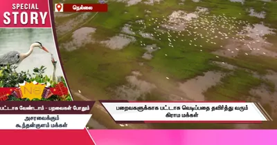 பட்டாசு வேண்டாம்   பறவைகள் போதும்  அசர வைக்கும் கிராம மக்கள்   சிறப்பு கட்டுரை 