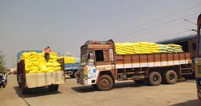 சம்பா சாகுபடி தீவிரம்   தூத்துக்குடியில் இருந்து புதுக்கோட்டைக்கு ரயில் மூலம் வந்த உர மூட்டைகள் 