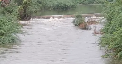 கனமழை காரணமாக ஏழு எருமை நீர்ப்பள்ளத்தில் வெள்ளப்பெருக்கு 